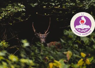 Yaban hayatı aleyhine kararlar karşısında Anayasa Mahkemesi’ne başvurduk Av turizmi ve avcılık ihalelerine karşı Anayasa Mahkemesi başvurularımız