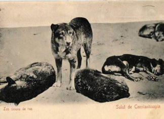 Tarihimizdeki Kara Leke: Hayırsız Ada