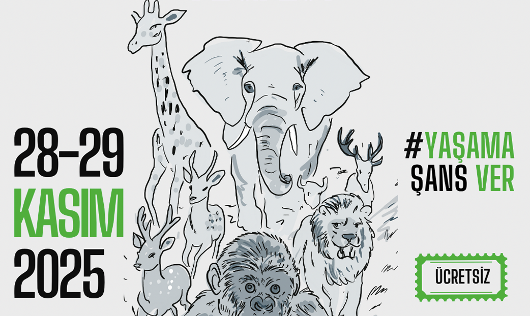 Screenshot 2025-11-26 at 20.17.28