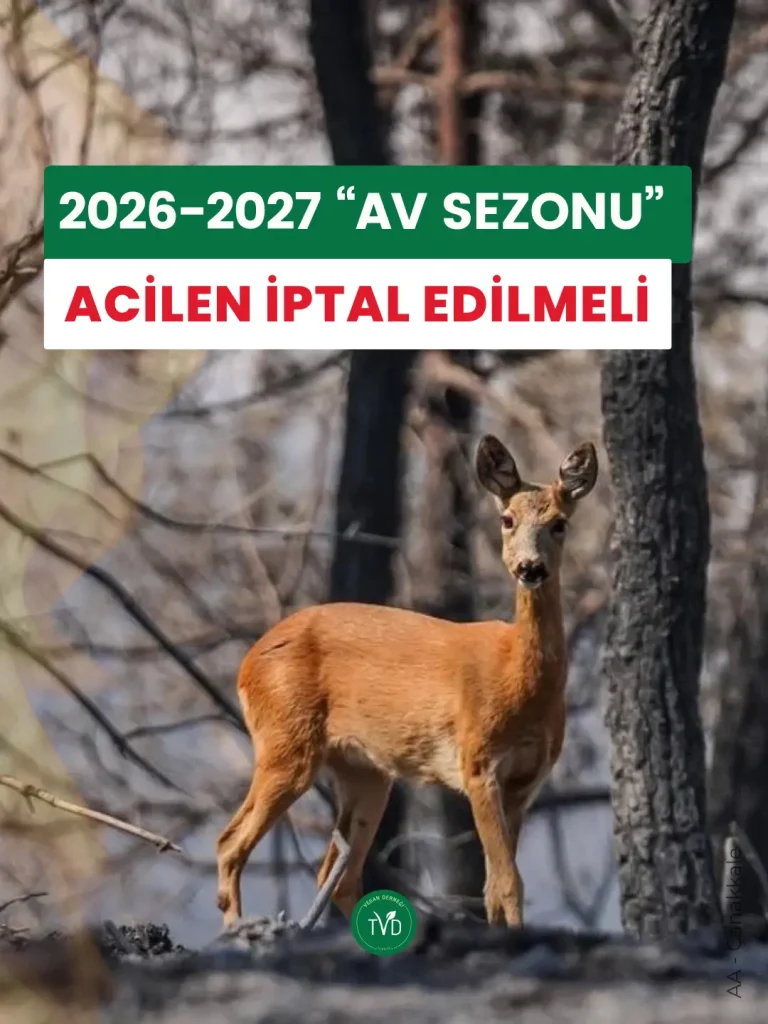 2026-2027 av sezonu orman yangınları sebebiyle derhal ve süresiz iptal edilmeli.